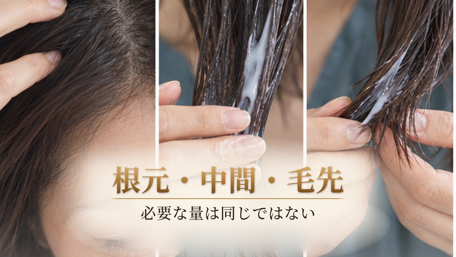 根元、中間、毛先でトリートメントの必要量が異なることを示す髪の接写