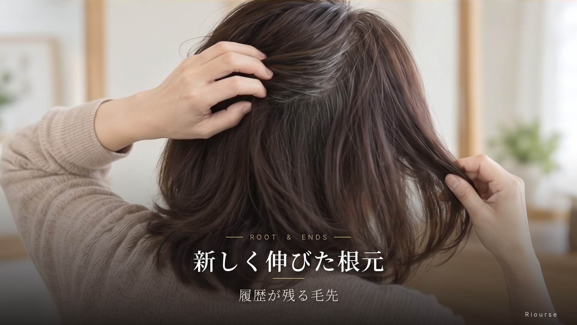 根元、中間、毛先を分けてカラー履歴を確認する髪の接写